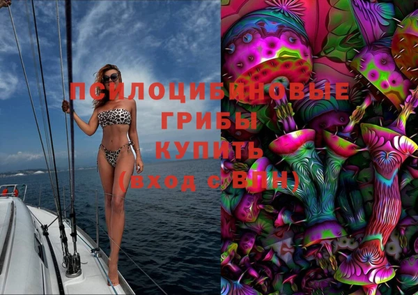 молекула духа Приозерск